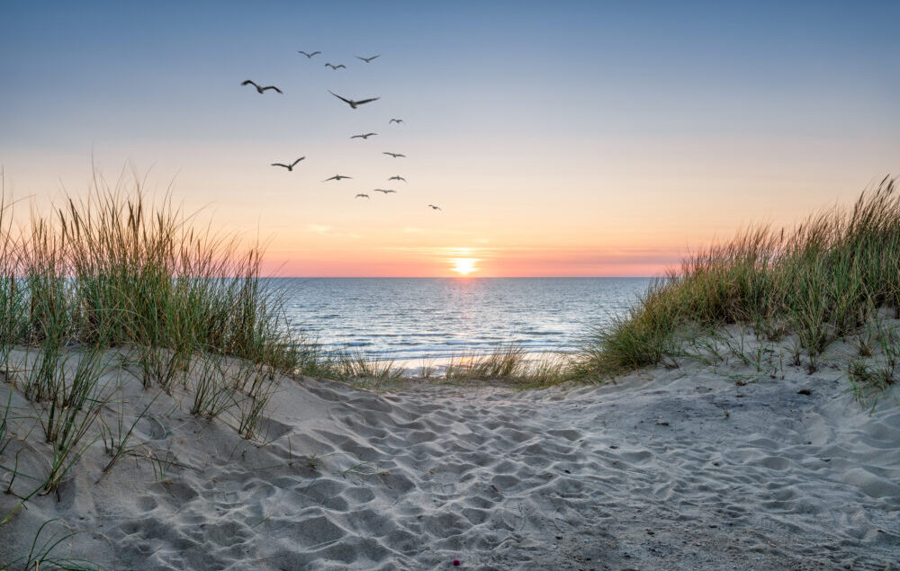 Hamptons